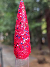 Load image into Gallery viewer, Holiday Dress
